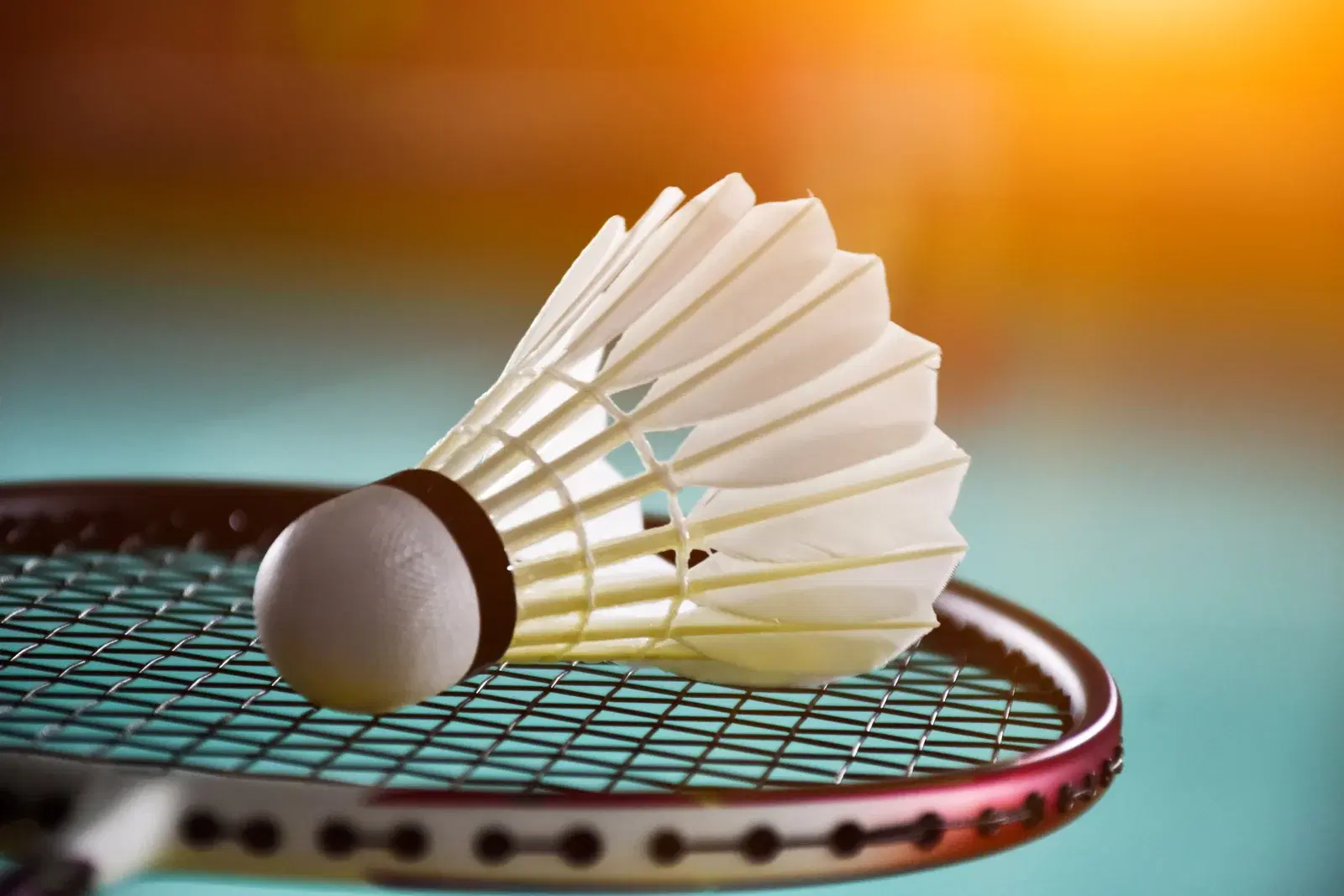 Badminton Memberships